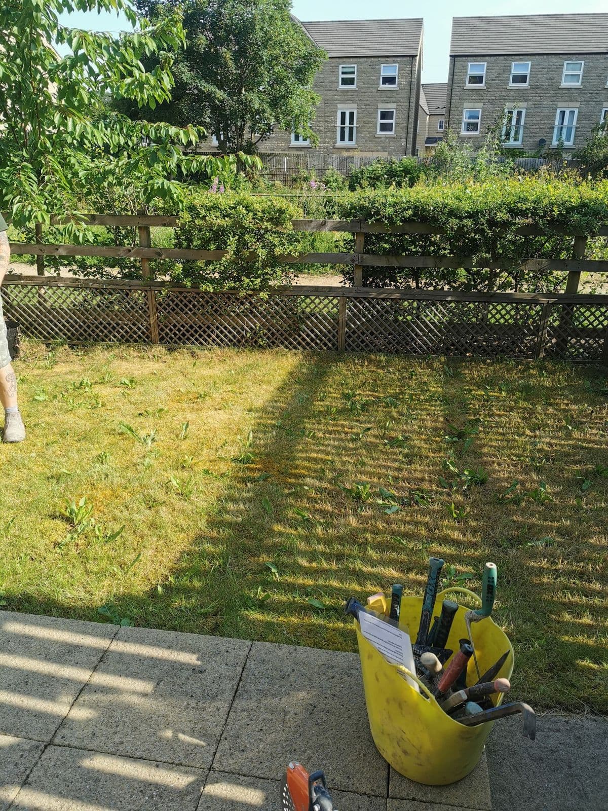The garden before work: worn grass, an old timber fence and a bucket of tools stood on the flags
