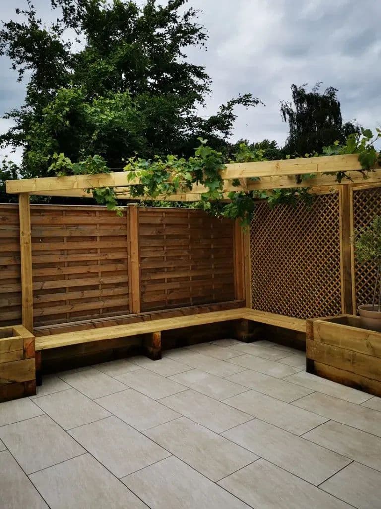The grapevine growing along the timber beam above the trellis screen