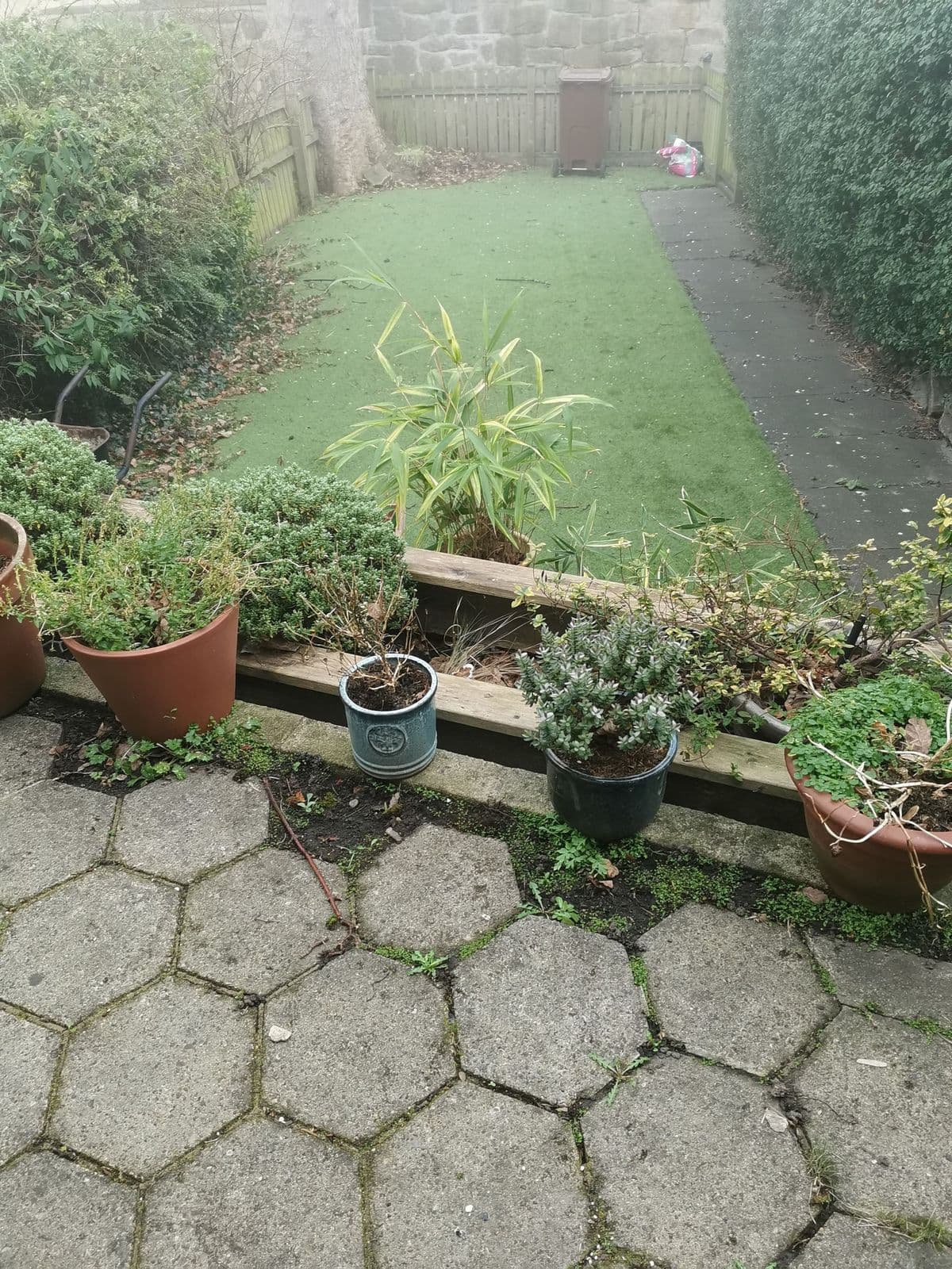 The garden before work: a narrow lawn, tired hexagonal paving and overgrown edges