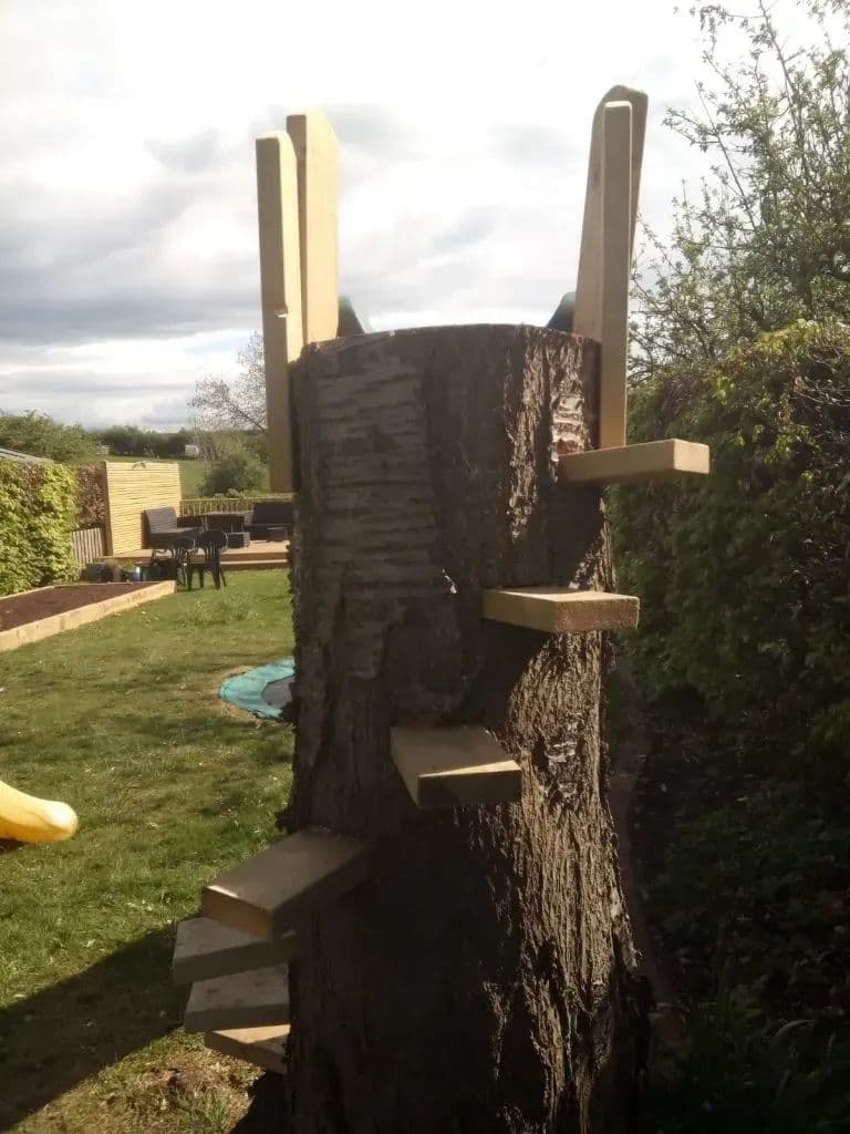 Timber climbing steps fixed to the old tree stump on the lawn
