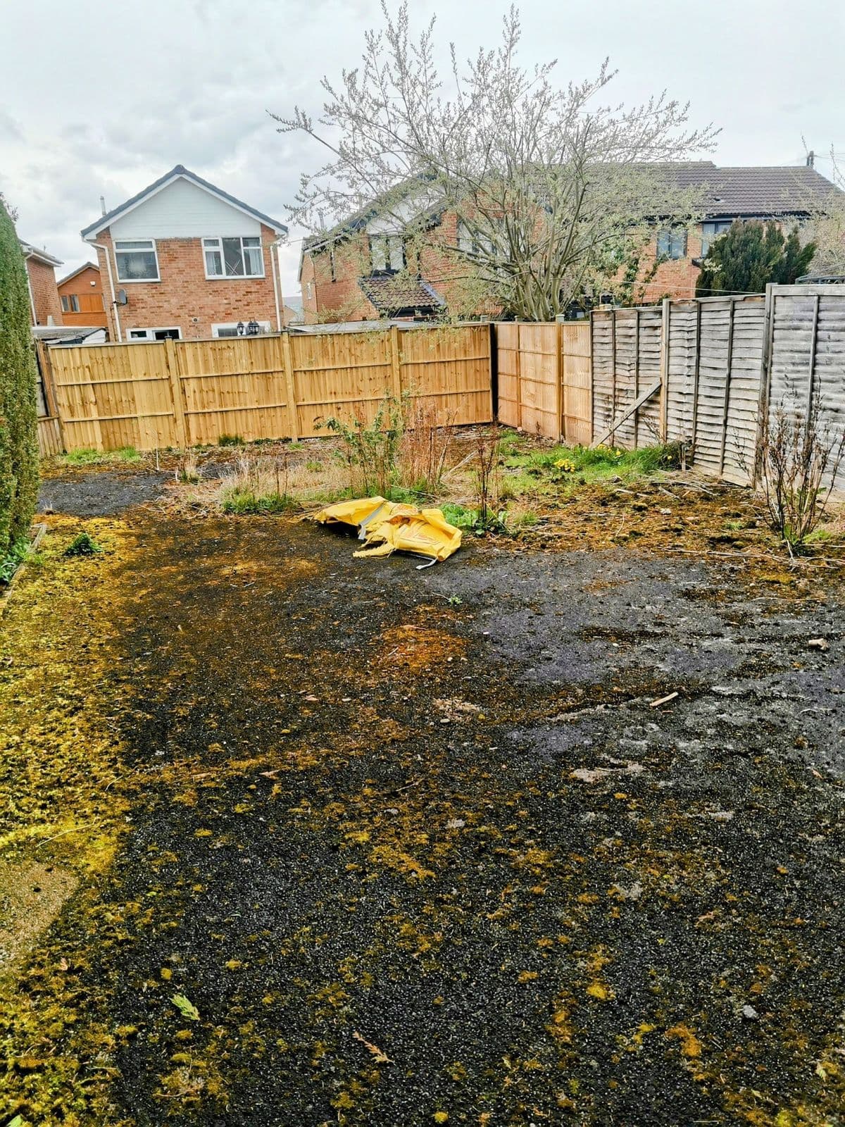 The old tarmac space before work: a flat, mossy yard behind the fence